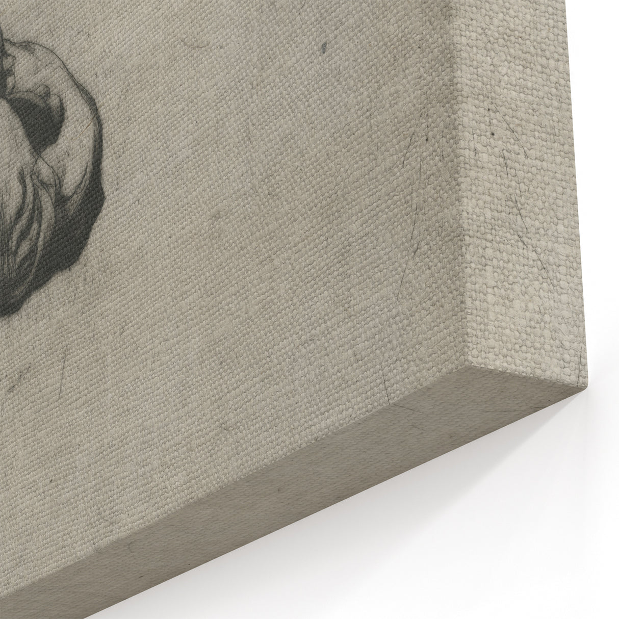 Gothic Wall Art | Mysterious Gargoyle Artwork | Medieval Gothic Prints