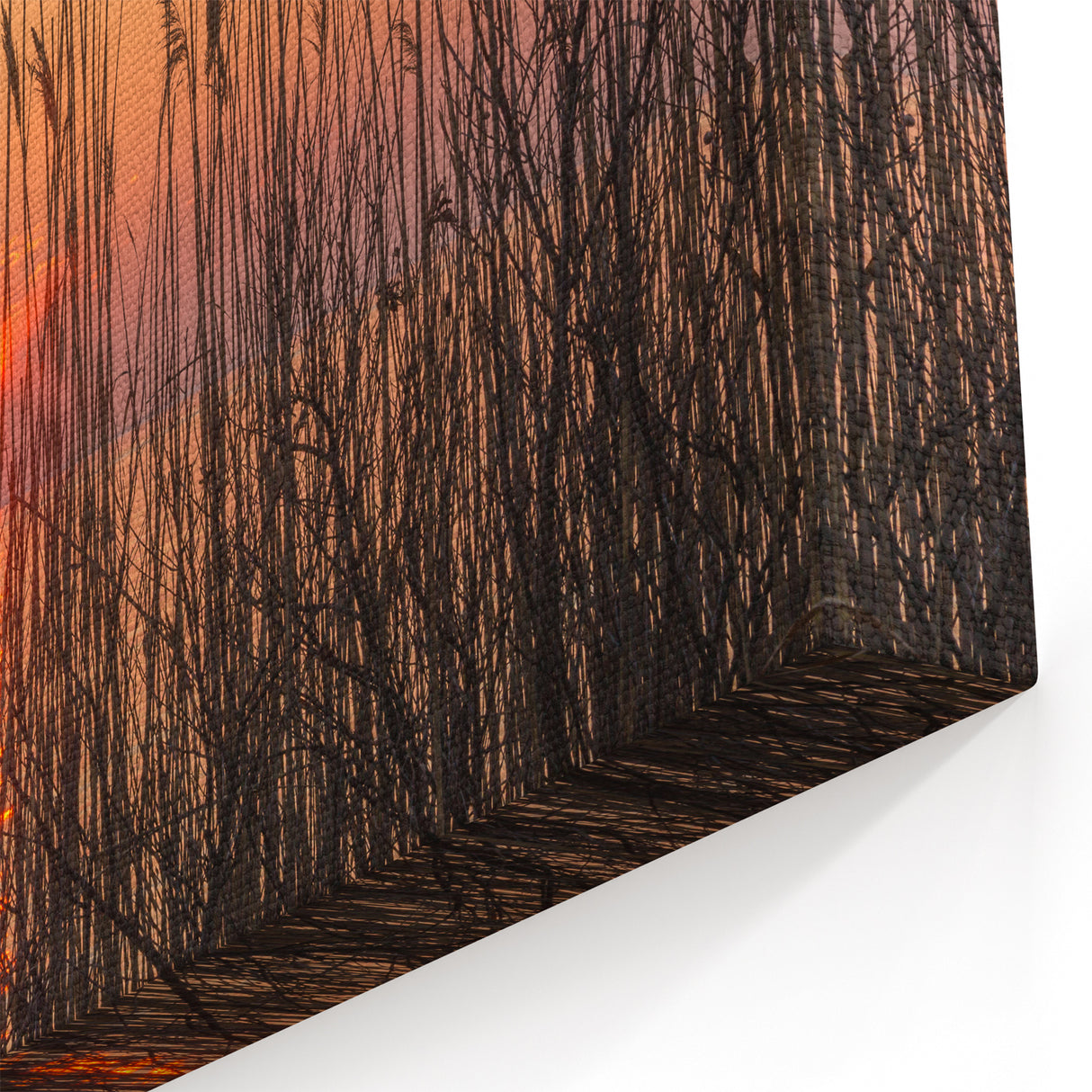 Chesapeake Bay Framed Art - Sunset Through Grass Scenic Coastal Print