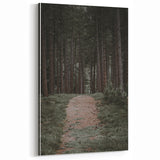 Rustic Wall Art - Forest Path with Tall Pines for Farmhouse Decor