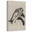 Gothic Bird Illustration – Dark and Elegant Gothic Wall Art Canvas Print