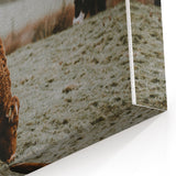 Rustic Wall Art - Grazing Cows in Countryside for Farmhouse Decor