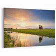 Netherlands Wall Art - Dutch Scenery Art with Cows at Sunset