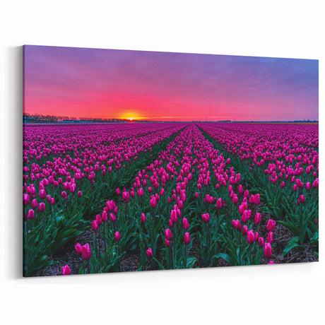 Tulip Field Artwork - Netherlands Travel Poster at Sunset