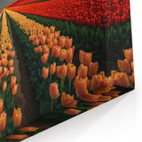 Tulip Field Artwork - Vibrant Rainbow Over Holland’s Tulip Fields
