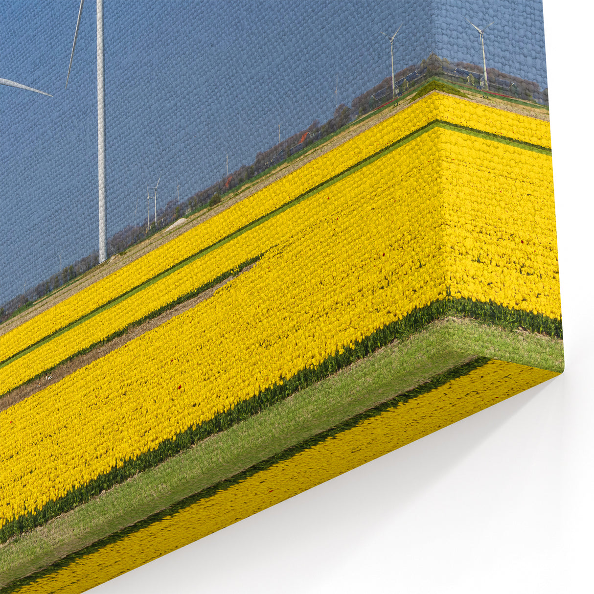 Holland Landscape Prints - Wind Turbines and Yellow Tulip Fields