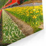 Netherlands Travel Poster - Scenic Tulip Fields and Red Train