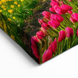 Netherlands Travel Poster - Scenic Tulip Fields and Red Train