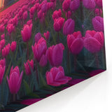 Tulip Field Artwork - Pink Tulips and Dutch Windmill at Sunset