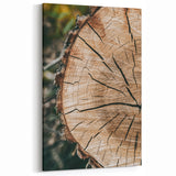 Rustic Farmhouse Wall Art – Tree Cross-Section for Natural Decor
