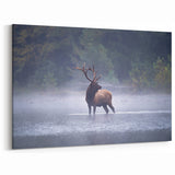 Pennsylvania Wildlife Art - Majestic Elk in Mist Pennsylvania Nature Art