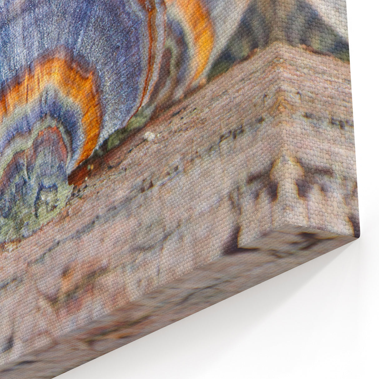 Pennsylvania Nature Art - Close-Up of Vibrant Mushroom Patterns Framed Art