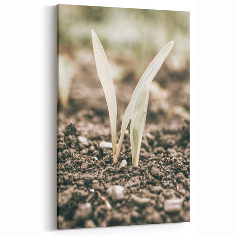 Farmhouse Wall Art: Rustic Country Charm with New Growth, Vintage Style