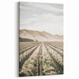 Farmhouse Wall Art: Serene Vineyard Landscape, Rustic Country Decor