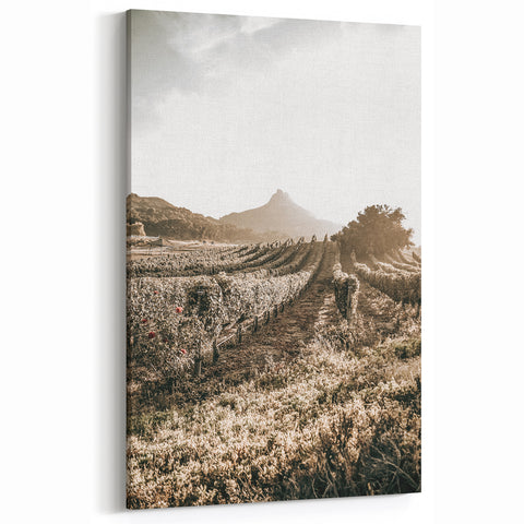 Farmhouse Wall Art: Sunlit Vineyard Rows, Rustic Country Charm Decor