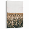 Farmhouse Wall Art: Golden Crops in the Field, Rustic Country Decor