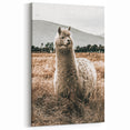 Farmhouse Alpaca in Field Art – Rustic Country Style Wall Decor