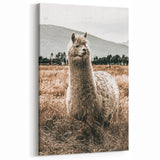 Farmhouse Alpaca in Field Art – Rustic Country Style Wall Decor