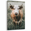 Farmhouse Wall Art - Close-Up of Rustic Country Cow in Green Pasture