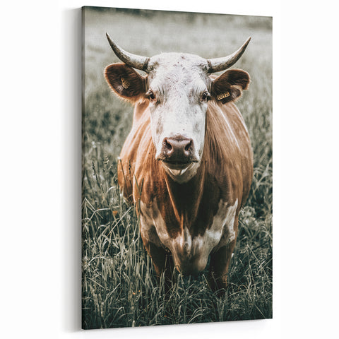 Farmhouse Wall Art - Close-Up of Rustic Country Cow in Green Pasture