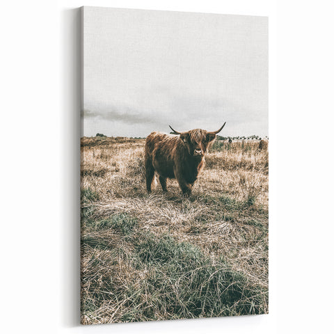 Farmhouse Wall Art - Highland Cow in Rustic Field for Country Decor