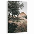Farmhouse Wall Art - Rustic Barn and Pathway Under Trees for Country Decor