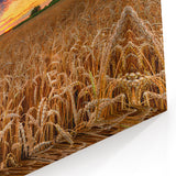 Poland Travel Photography - Golden Wheat Fields at Sunset