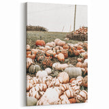 Harvest Pumpkin Patch Wall Art | Rustic Farmhouse Decor for Fall Homes