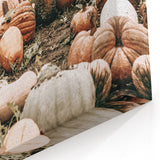 Harvest Pumpkin Patch Wall Art | Rustic Farmhouse Decor for Fall Homes