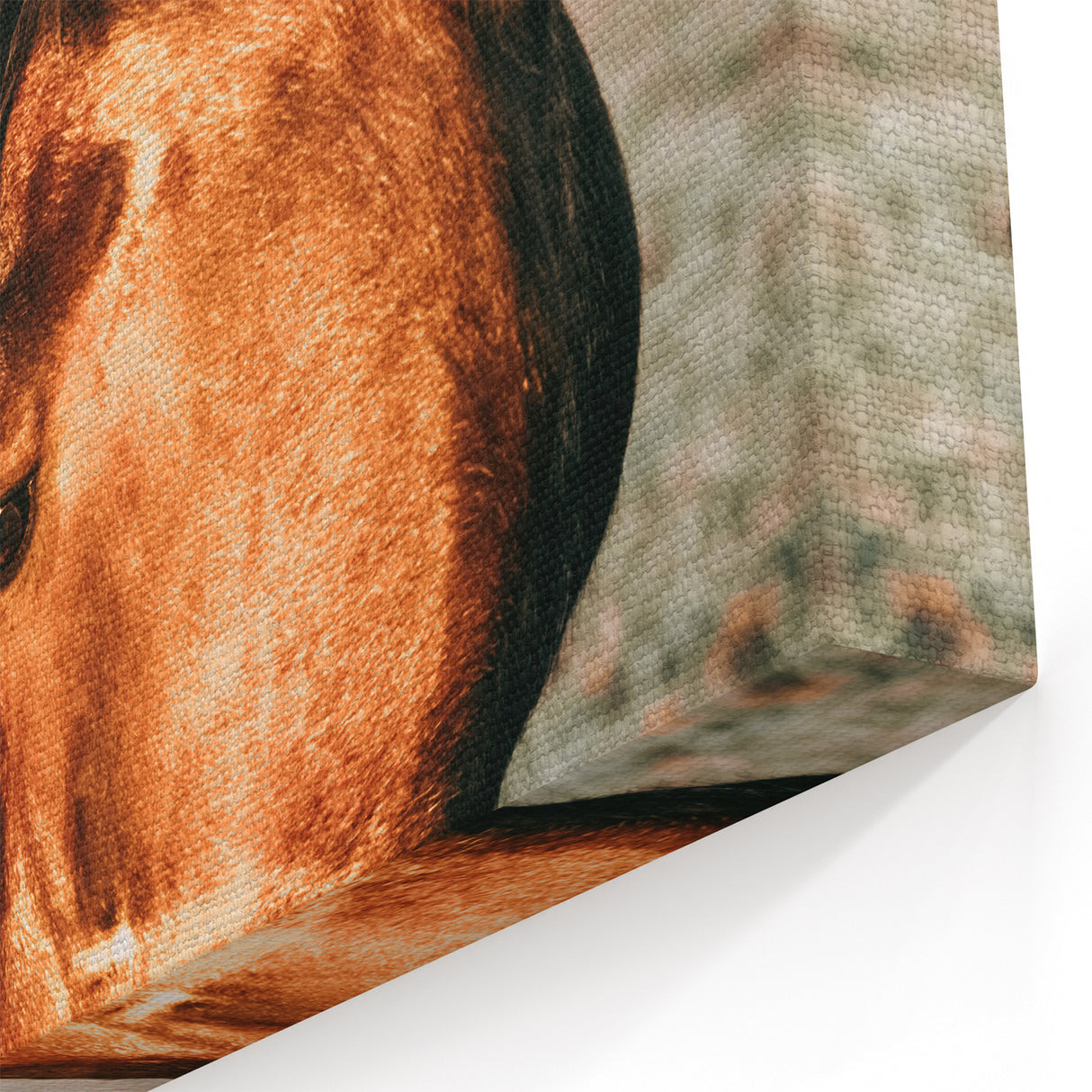 Heartfelt Horses Grazing Wall Art | Rustic Farmhouse Decor for Country Homes