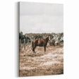 Serene Horse in Field Wall Art | Rustic Farmhouse Decor for Country Homes