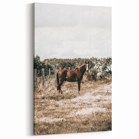 Serene Horse in Field Wall Art | Rustic Farmhouse Decor for Country Homes