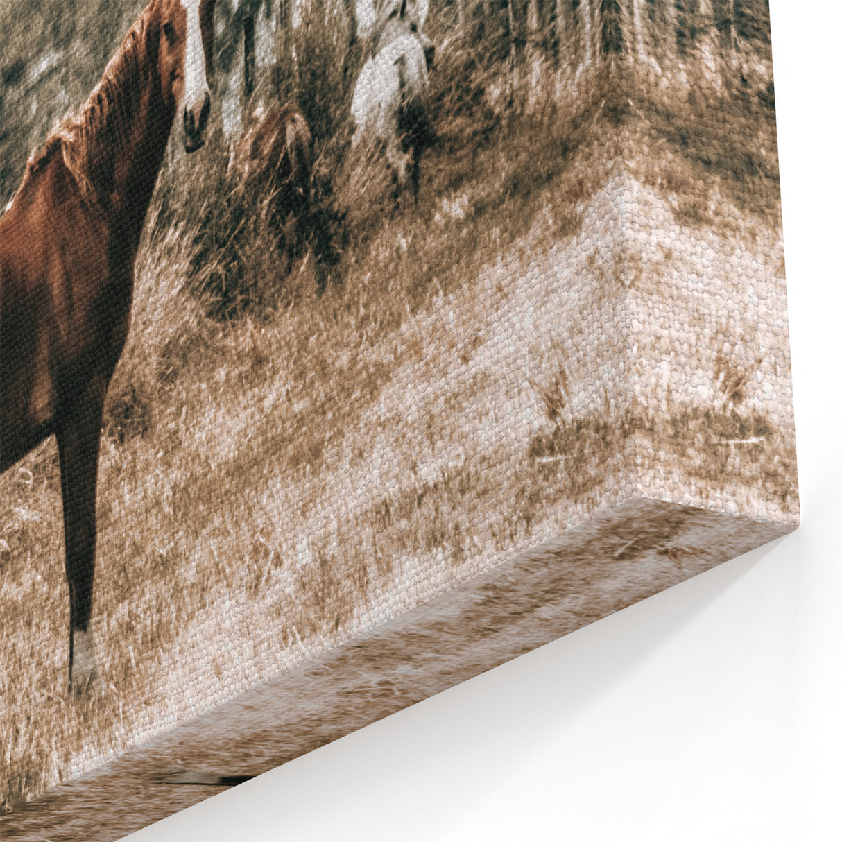 Serene Horse in Field Wall Art | Rustic Farmhouse Decor for Country Homes