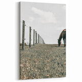 Peaceful Horse Grazing Wall Art | Rustic Farmhouse Decor for Country Homes