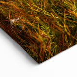 Scenic Norway Wall Decor - Cotton Grass and Mountains at Sunset