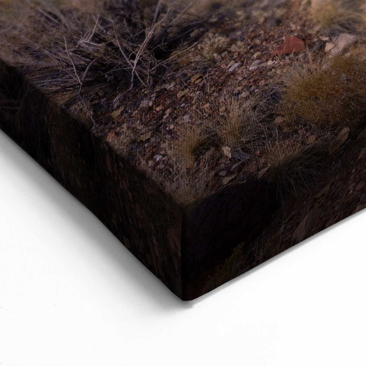 Framed Capitol Reef Artwork – Rustic Utah Scenic Photography Print