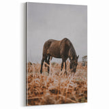 Rustic Horse Grazing in Field Wall Art – Farmhouse Nature Decor Print