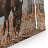 Rustic Horse Grazing in Field Wall Art – Farmhouse Nature Decor Print