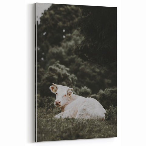 Rustic Cow in Field Wall Art – Farmhouse Animal Nature Scene Decor Print