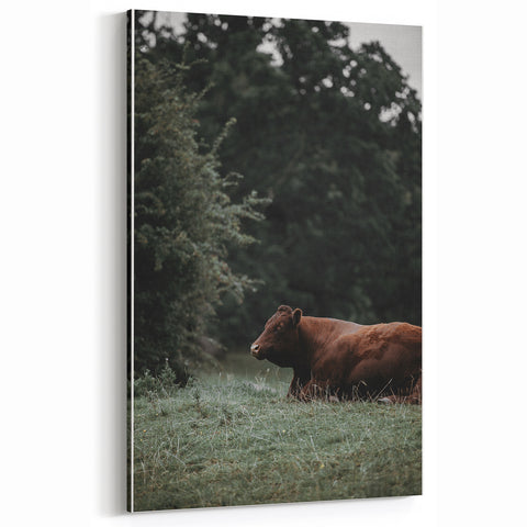 Rustic Cow in Meadow Wall Art – Farmhouse Animal Nature Decor Print