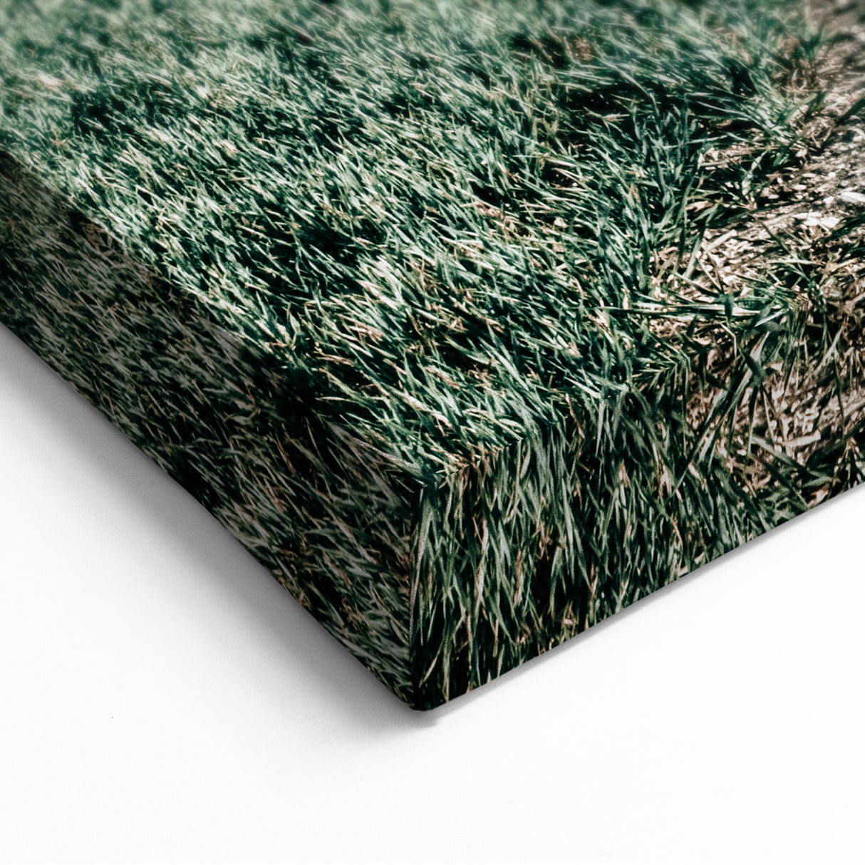 Farmhouse Wall Art of Lush Green Field Path - Rustic Country Style Decor