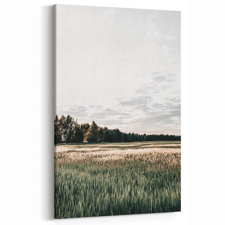 Farmhouse Wall Art of Sunlit Wheat Field - Rustic Country Style Decor