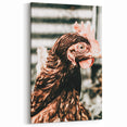 Farmhouse Wall Art of Rustic Chicken Portrait - Country Style Decor