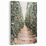 Farmhouse Wall Art - Rustic Farmhouse Decor with Tomato Field View