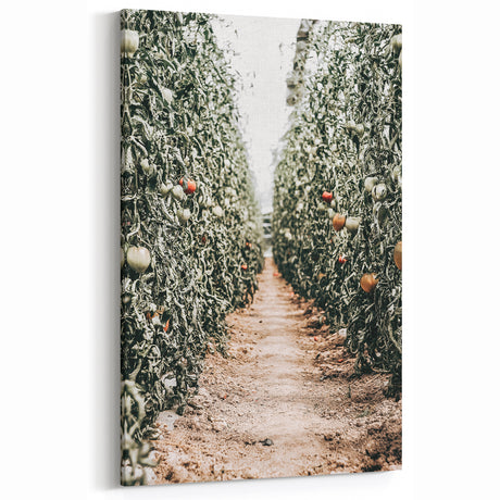 Farmhouse Wall Art - Rustic Farmhouse Decor with Tomato Field View