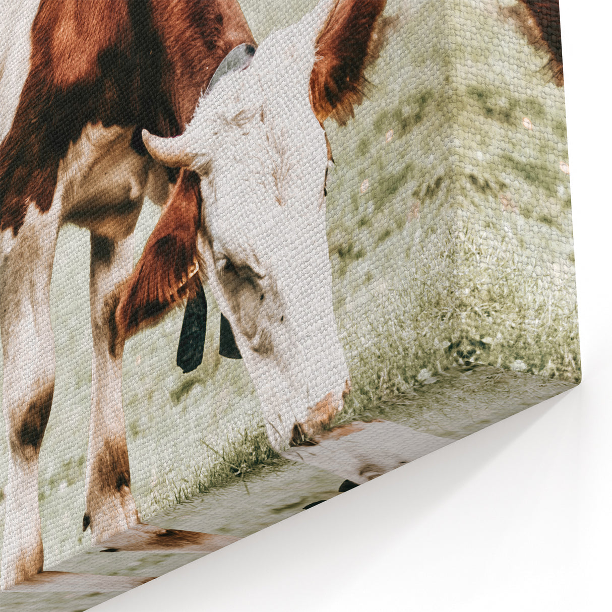Farmhouse Wall Art – Grazing Cow in Pasture Print for Rustic Decor