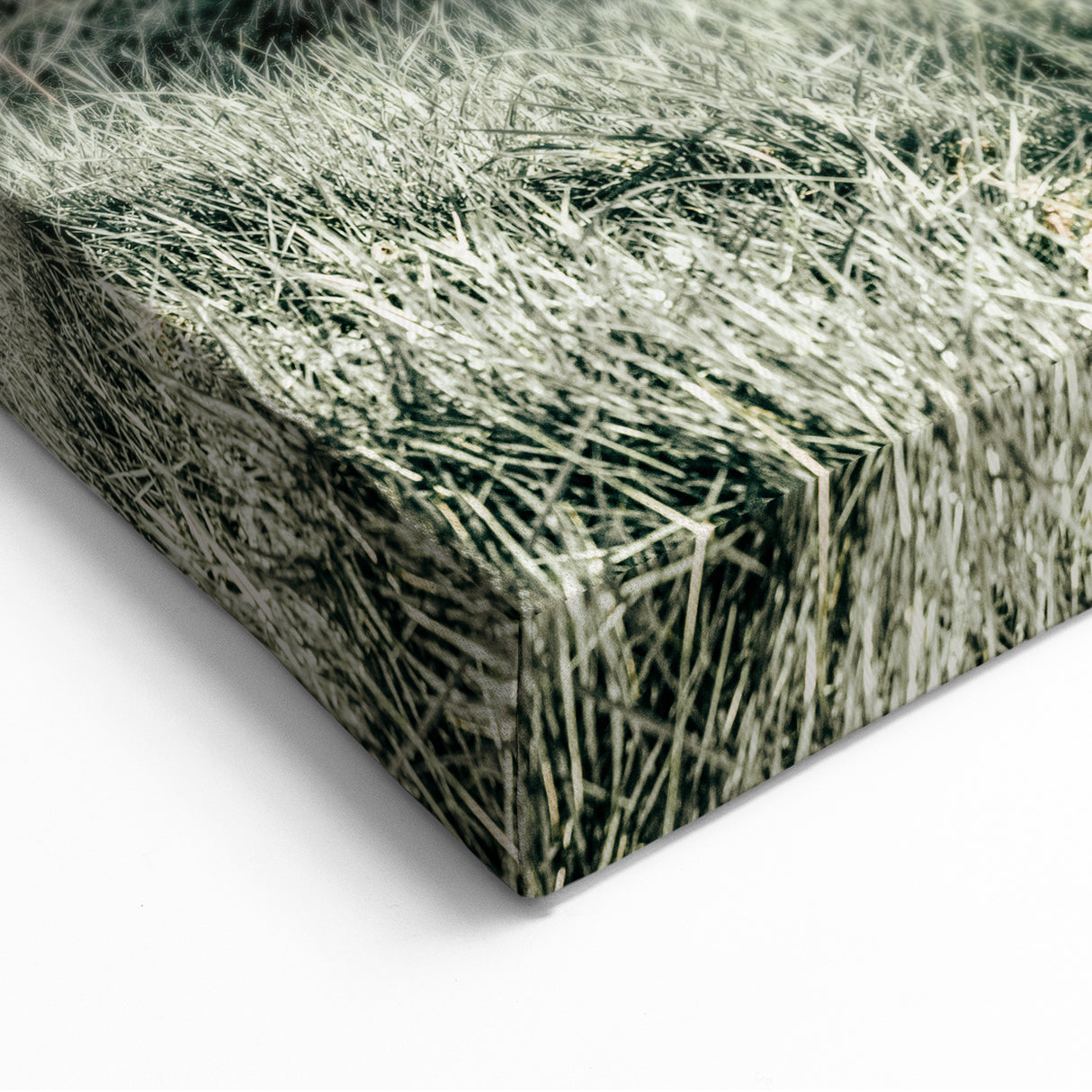 Farmhouse Wall Art – Green Pastures and Wooden Fence Print for Country Decor