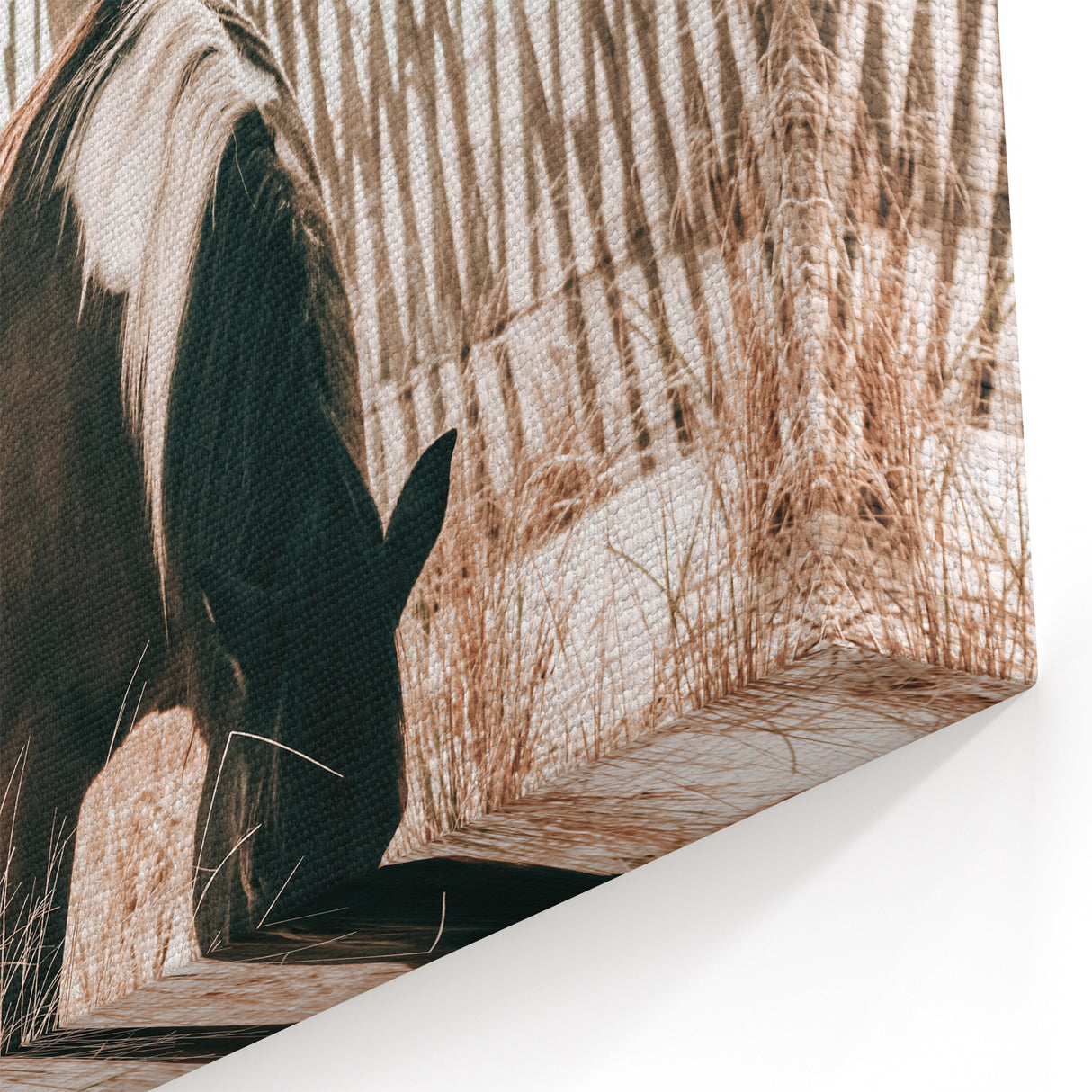 Farmhouse Wall Art – Grazing Horse in Sand Dunes Print