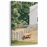 Farmhouse Wall Art - Rustic Grazing Cow with Vintage Country Style Charm
