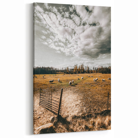 Farmhouse Wall Art - Pastoral Sheep in Field with Rustic Country Charm