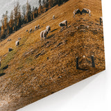 Farmhouse Wall Art - Pastoral Sheep in Field with Rustic Country Charm